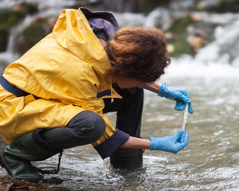 Marine biologist