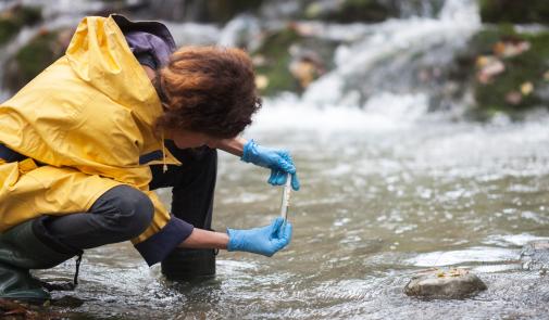 Marine biologist